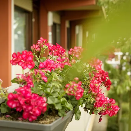 Campanile & Restaurant Hotel Gouda