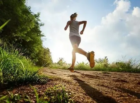 Campanile Hotel&restaurant Hotel