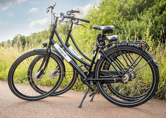 Campanile Hotel&restaurant 3*