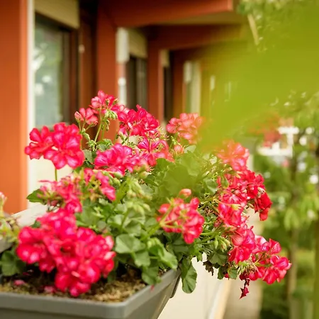 Hotel Campanile & Restaurant 3*